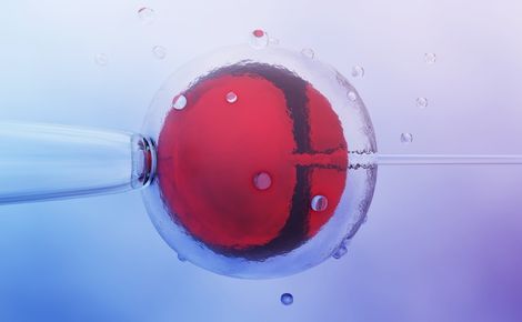 Bebek Sahibi Olma Yolunda İlk Adım: Aşılama Tedavisi Nedir?