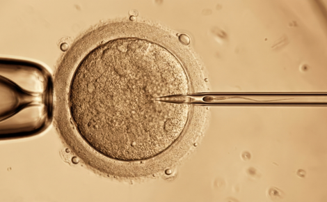 Tüp Bebek Öncesi Neden Aşılama Önerilir?