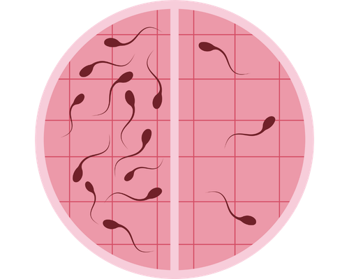 Adana İnfertilite (Kısırlık) Tanı ve Kapsamlı Tedavisi