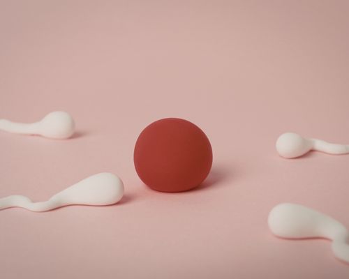 Adana İnfertilite (Kısırlık) Tanı ve Kapsamlı Tedavisi