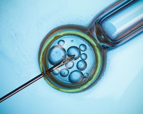 Adana Tüp Bebek Öncesi Hazırlık ve Destekleyici Tedaviler